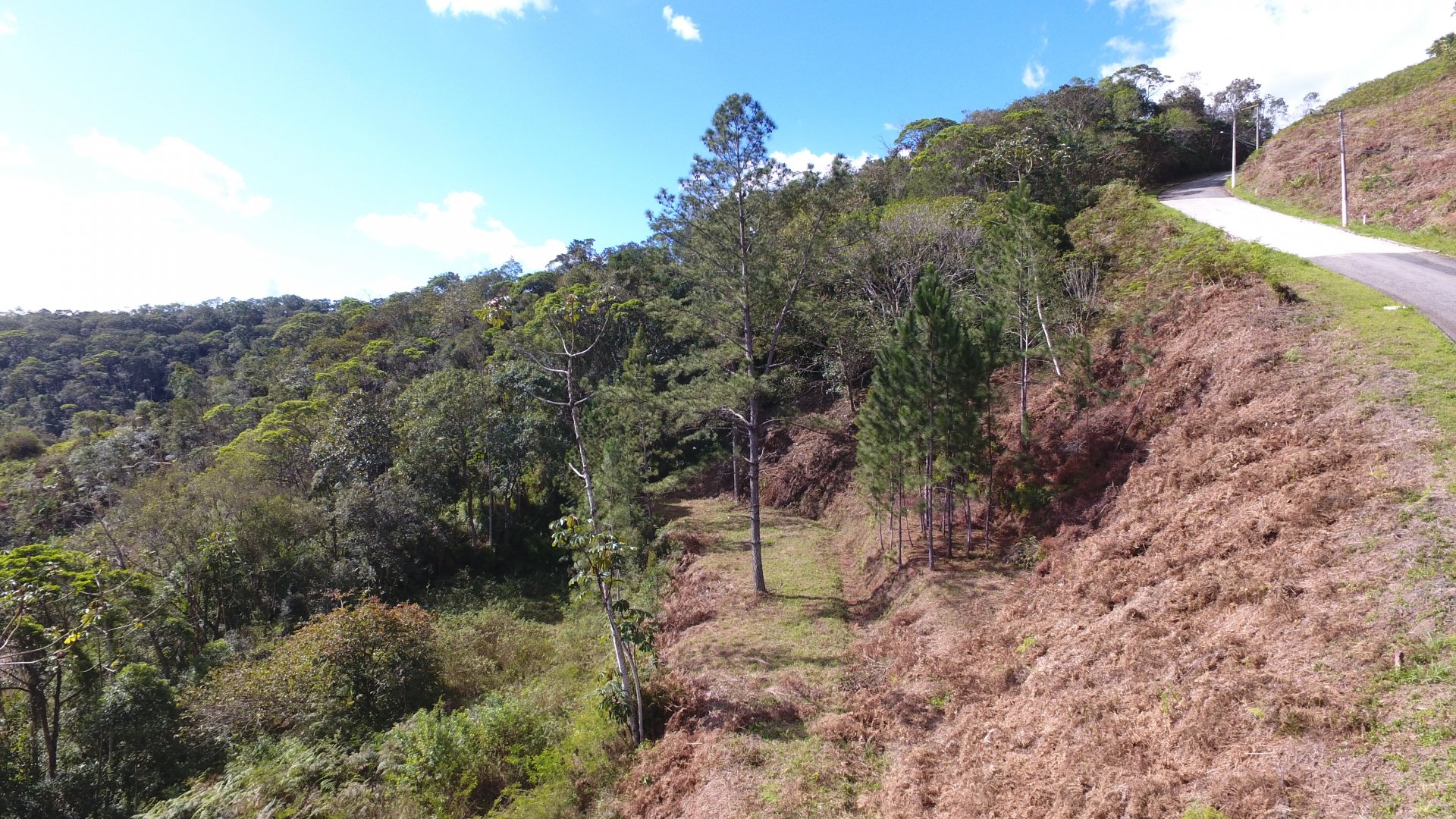 Terreno à Venda em Primeiro de Maio - Brusque - Santa Catarina - Terreno à venda em Brusque