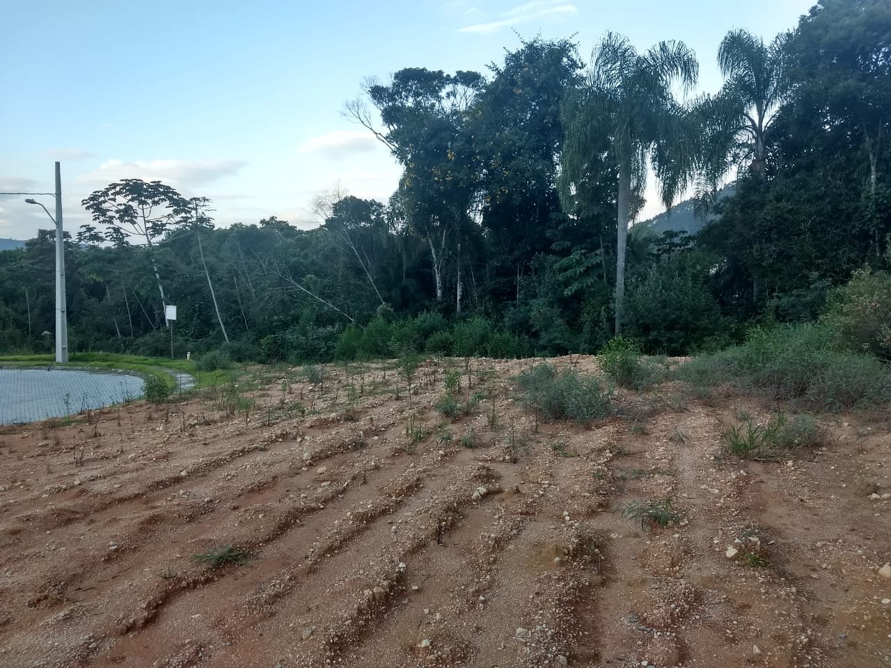 TERRENO NO LOTEAMENTO JARDIM DAS HORTENCIAS 