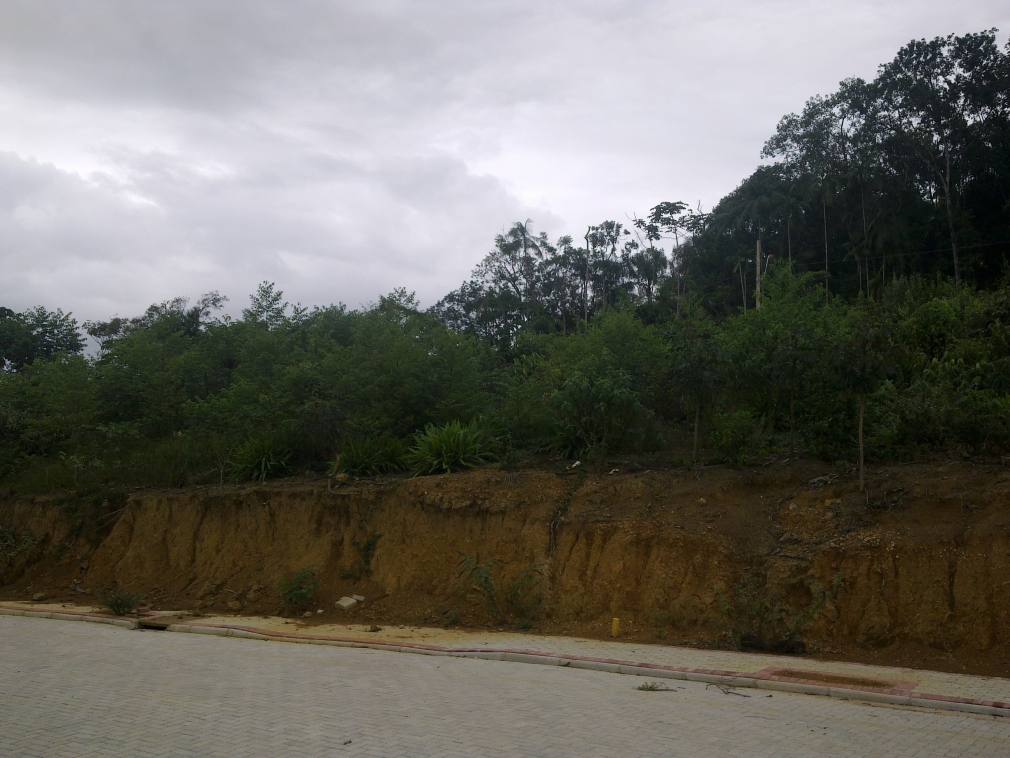 TERRENO GUARANI BRUSQUE