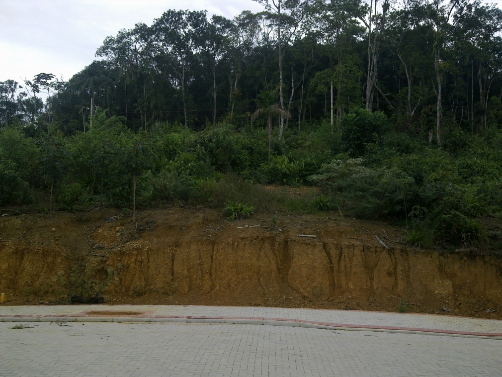 TERRENO GUARANI BRUSQUE