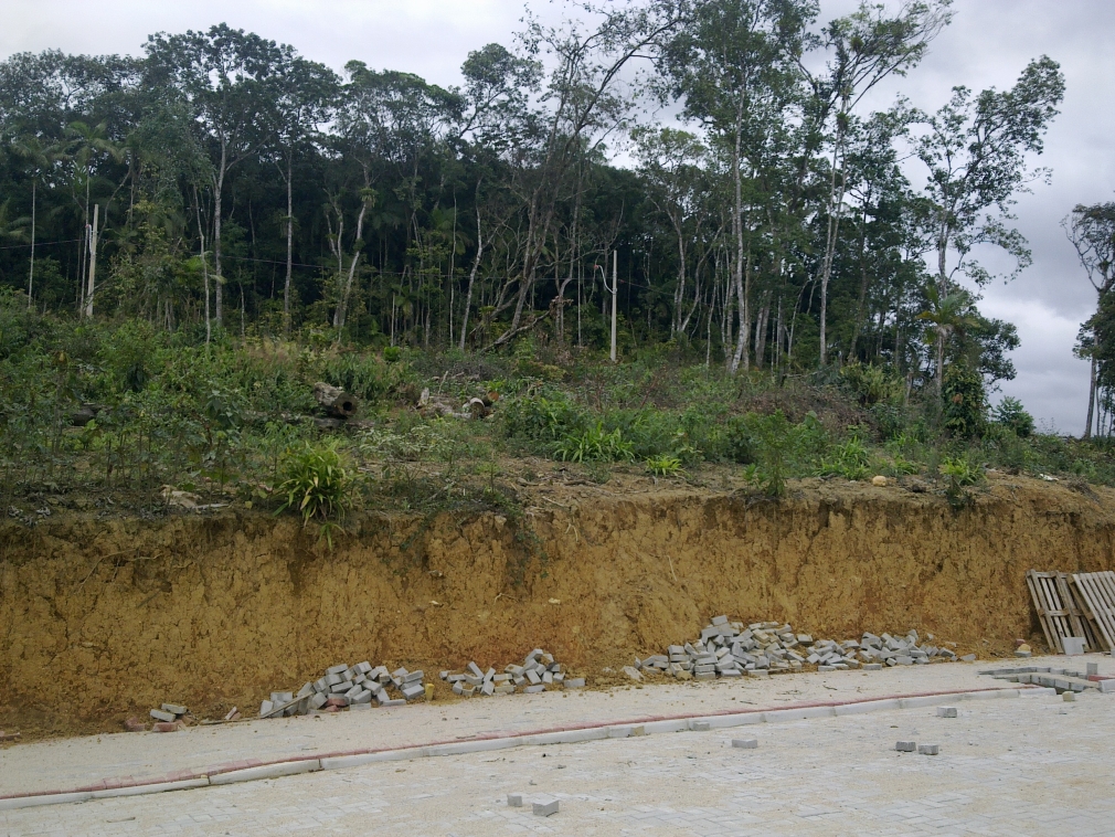 TERRENO GUARANI BRUSQUE