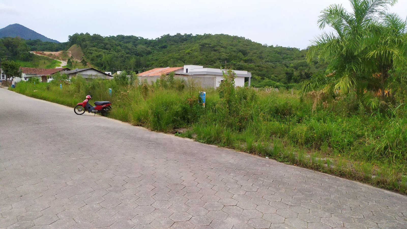 Terreno à Venda em Pomerânea - Guabiruba - SC - Terreno à venda em Guabiruba