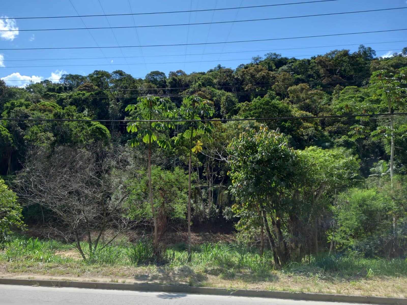 Terreno à Venda em Dom Joaquim - Brusque - Santa Catarina - Terreno à venda em Brusque
