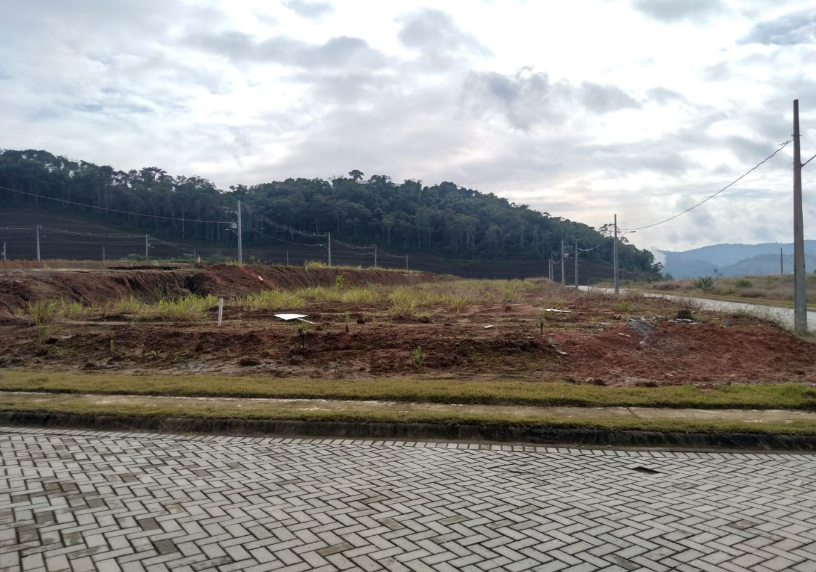 Terreno à Venda em Dom Joaquim - Brusque - Santa Catarina - Loteamento Jardim das Hortênsias em Brusque