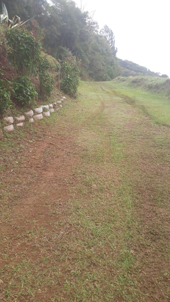 Chacara à Venda - Xanxerê - Santa Catarina