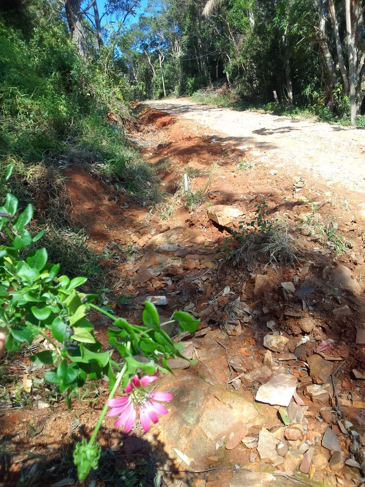 Terreno à Venda em Ratones - Florianópolis - Santa Catarina - Terreno à venda em Florianópolis