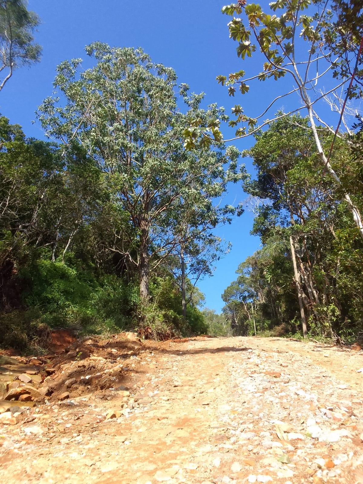 Terreno à Venda em Ratones - Florianópolis - Santa Catarina - Terreno à venda em Florianópolis