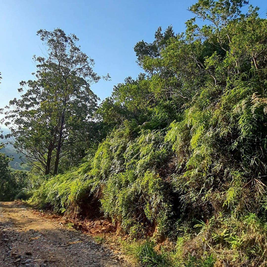 Terreno à Venda em Ratones - Florianópolis - Santa Catarina - Terreno à venda em Florianópolis