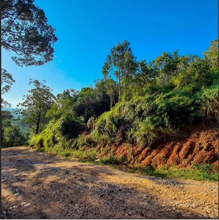 Terreno à Venda em Ratones - Florianópolis - Santa Catarina - Terreno à venda em Florianópolis