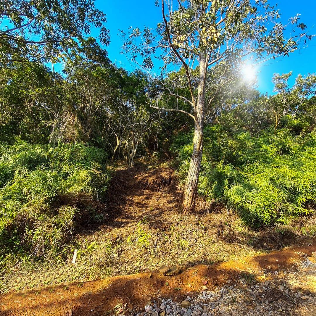 Terreno à Venda em Ratones - Florianópolis - Santa Catarina - Terreno à venda em Florianópolis