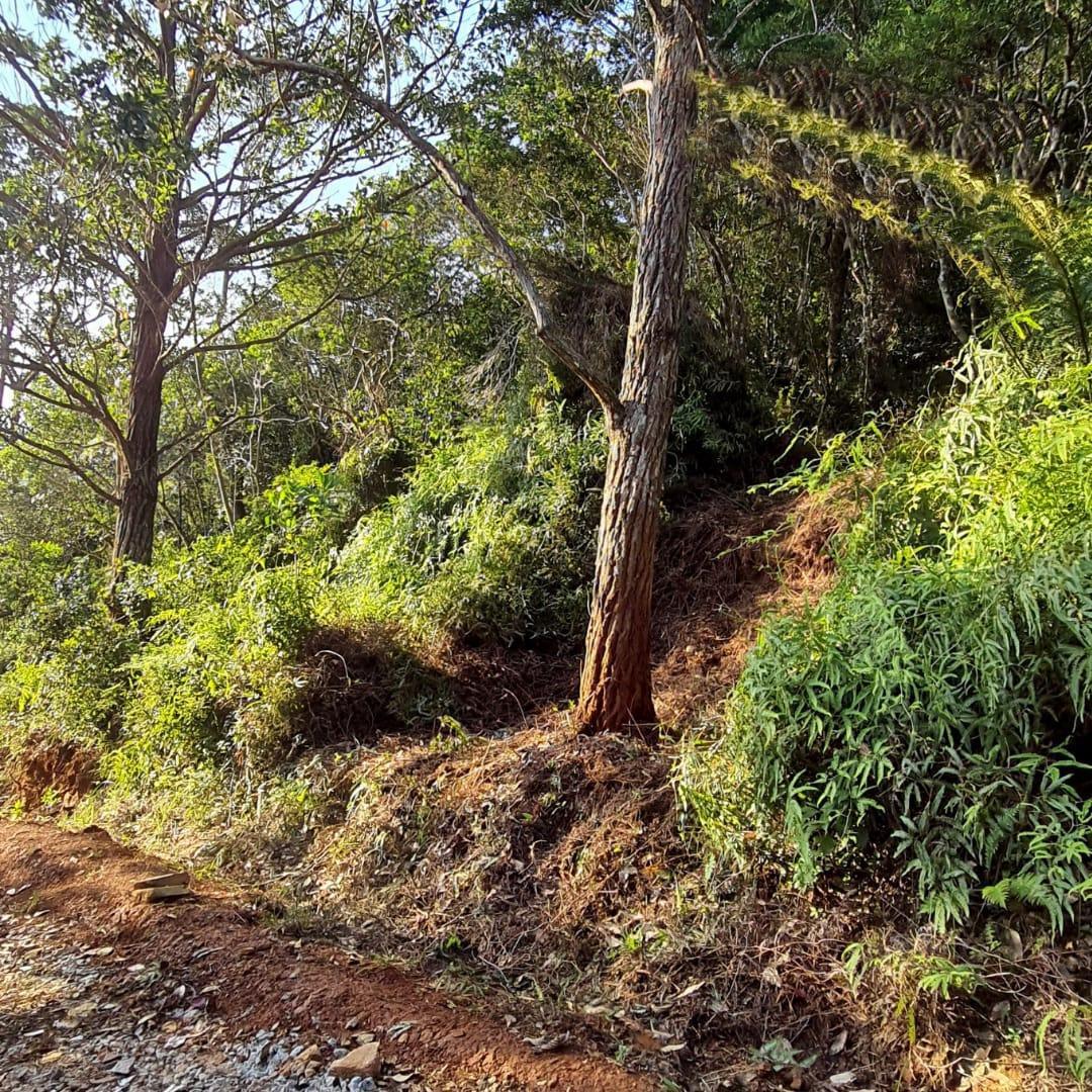 Terreno à Venda em Ratones - Florianópolis - Santa Catarina - Terreno à venda em Florianópolis