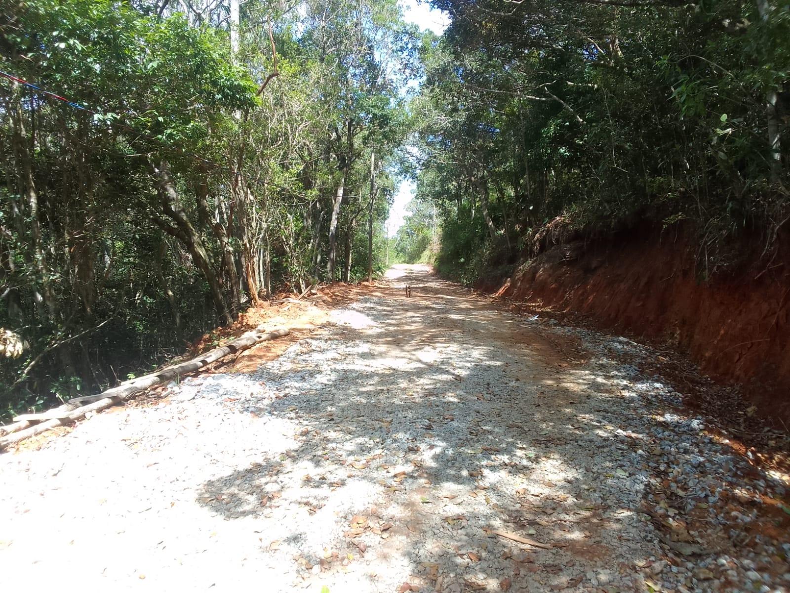 Terreno à Venda em Ratones - Florianópolis - Santa Catarina