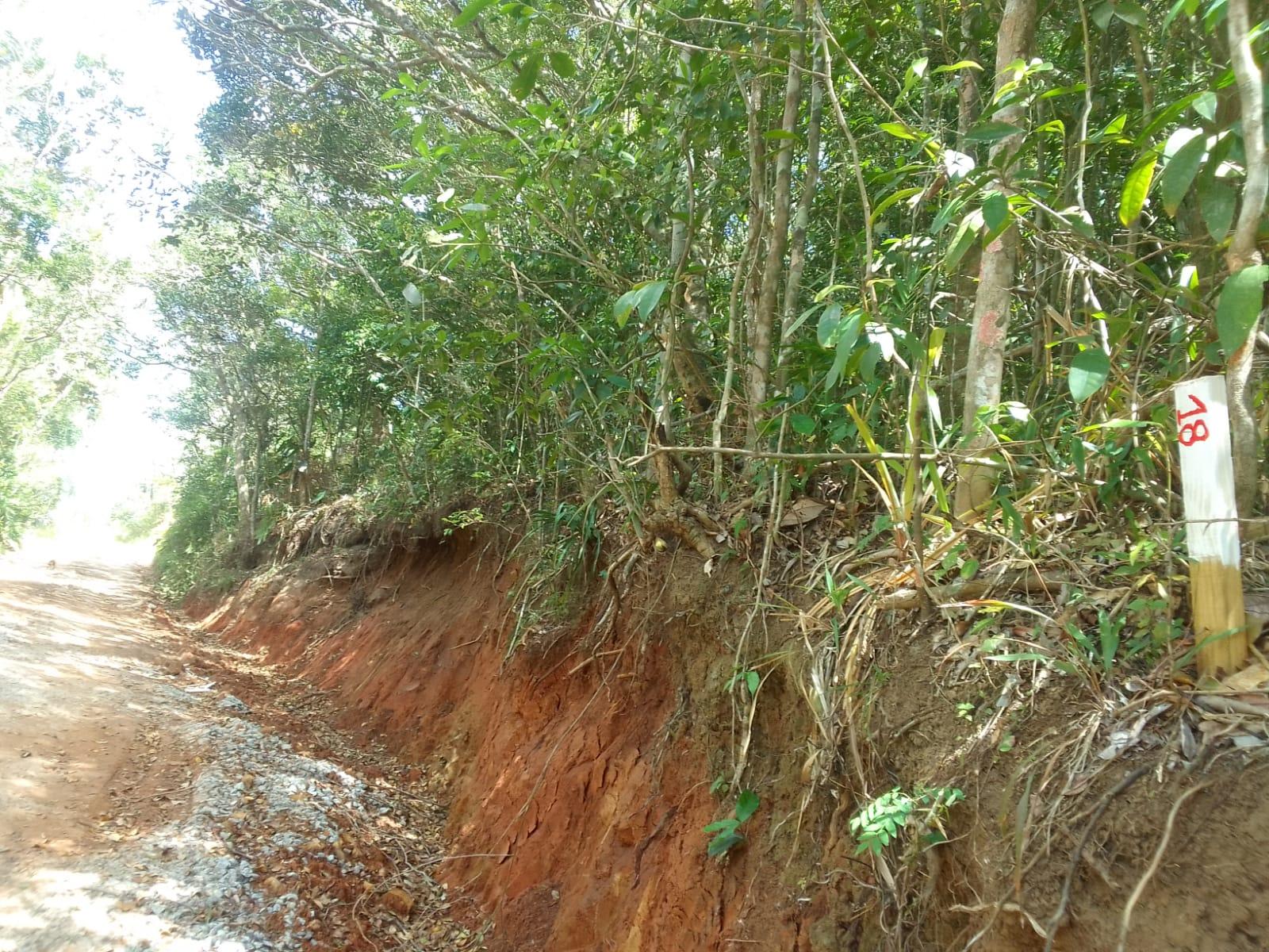 Terreno à Venda em Ratones - Florianópolis - Santa Catarina