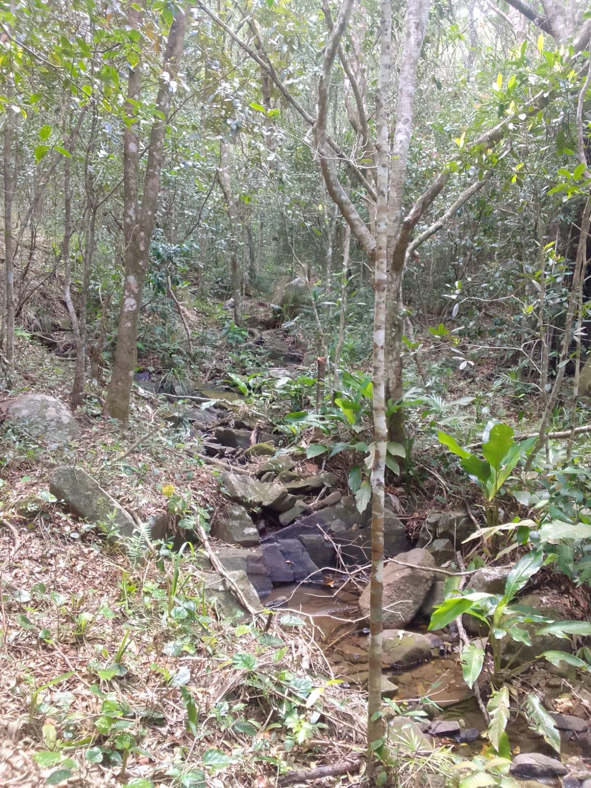 Terreno à Venda em Ratones - Florianópolis - Santa Catarina