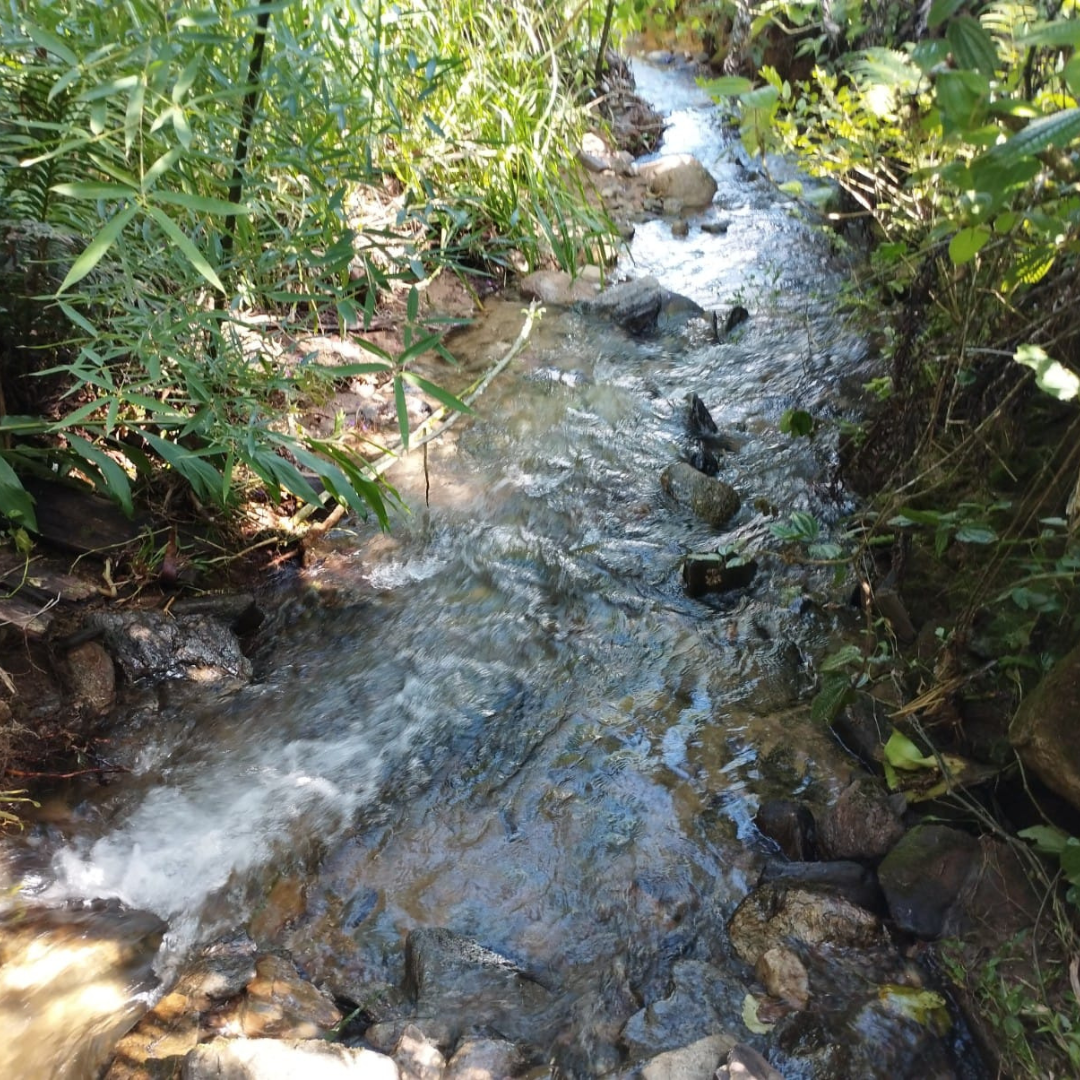 Chacara à Venda em Aymore - Guabiruba - Santa Catarina