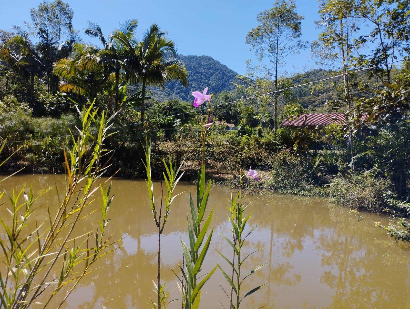 Chacara à Venda em Aymore - Guabiruba - Santa Catarina