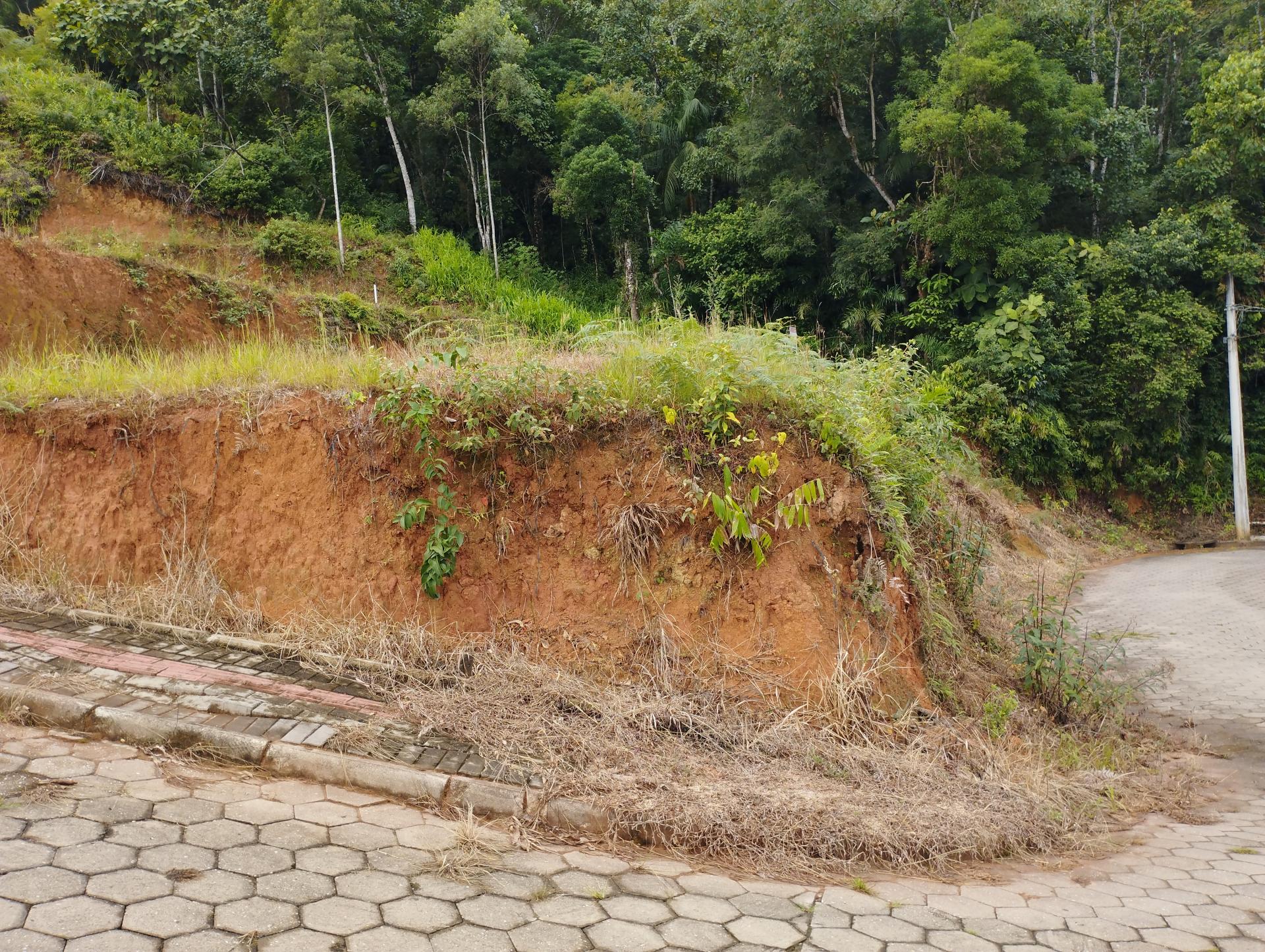 Terreno à Venda em Imigrantes - Guabiruba - Santa Catarina