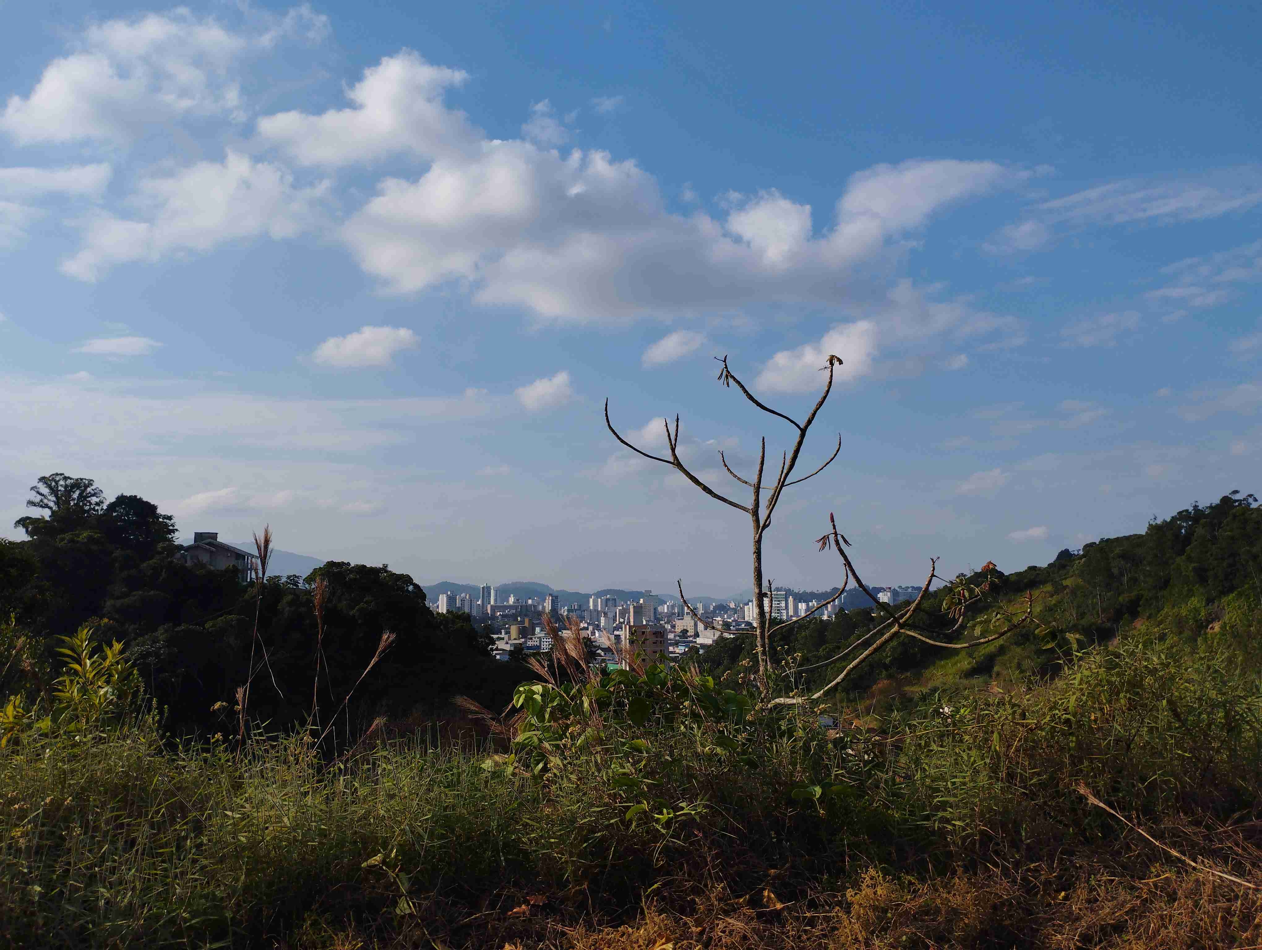 Terreno à Venda em Souza Cruz - Brusque - Santa Catarina