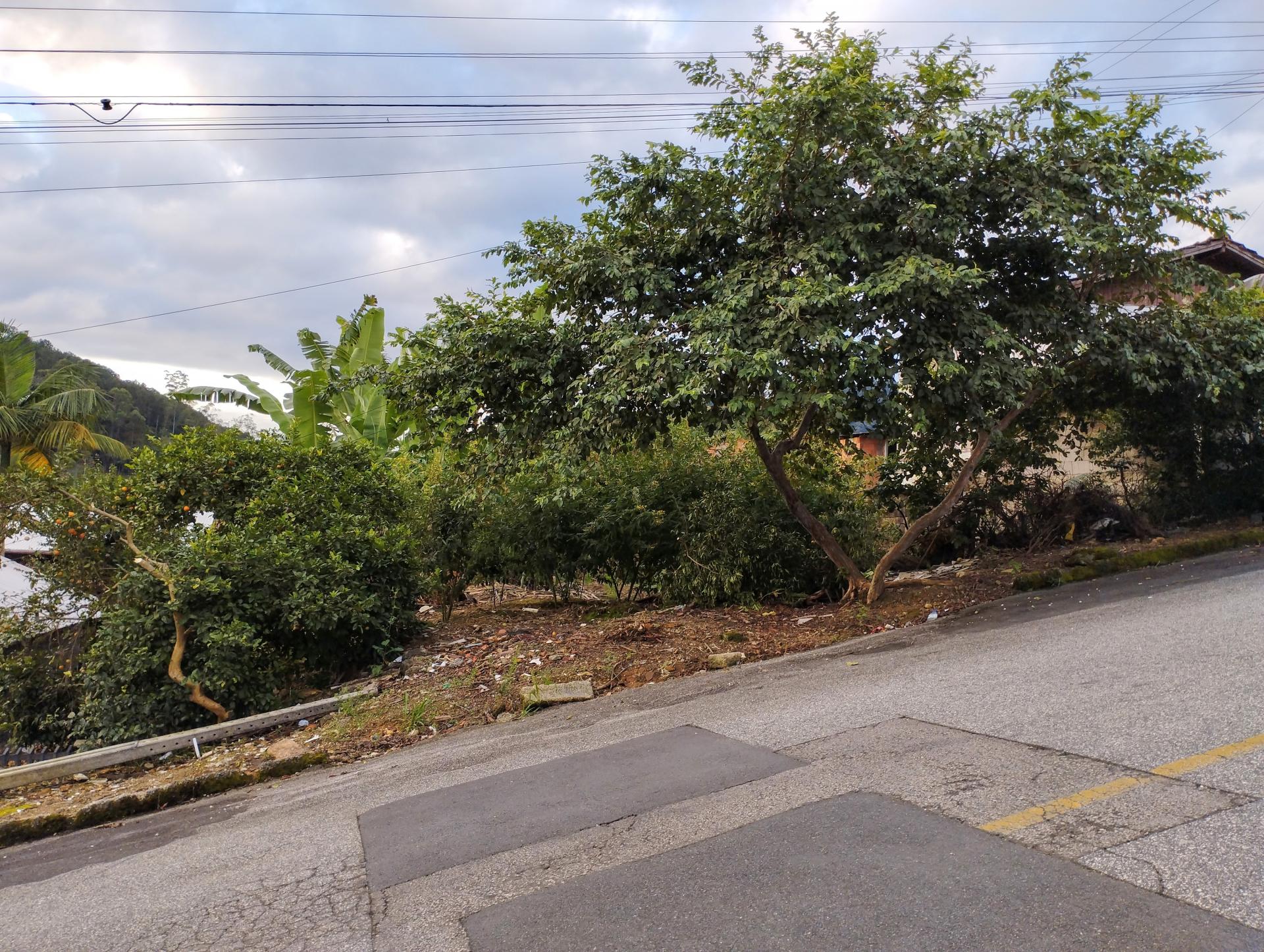 Terreno à Venda em Limeira Baixa - Brusque - Santa Catarina