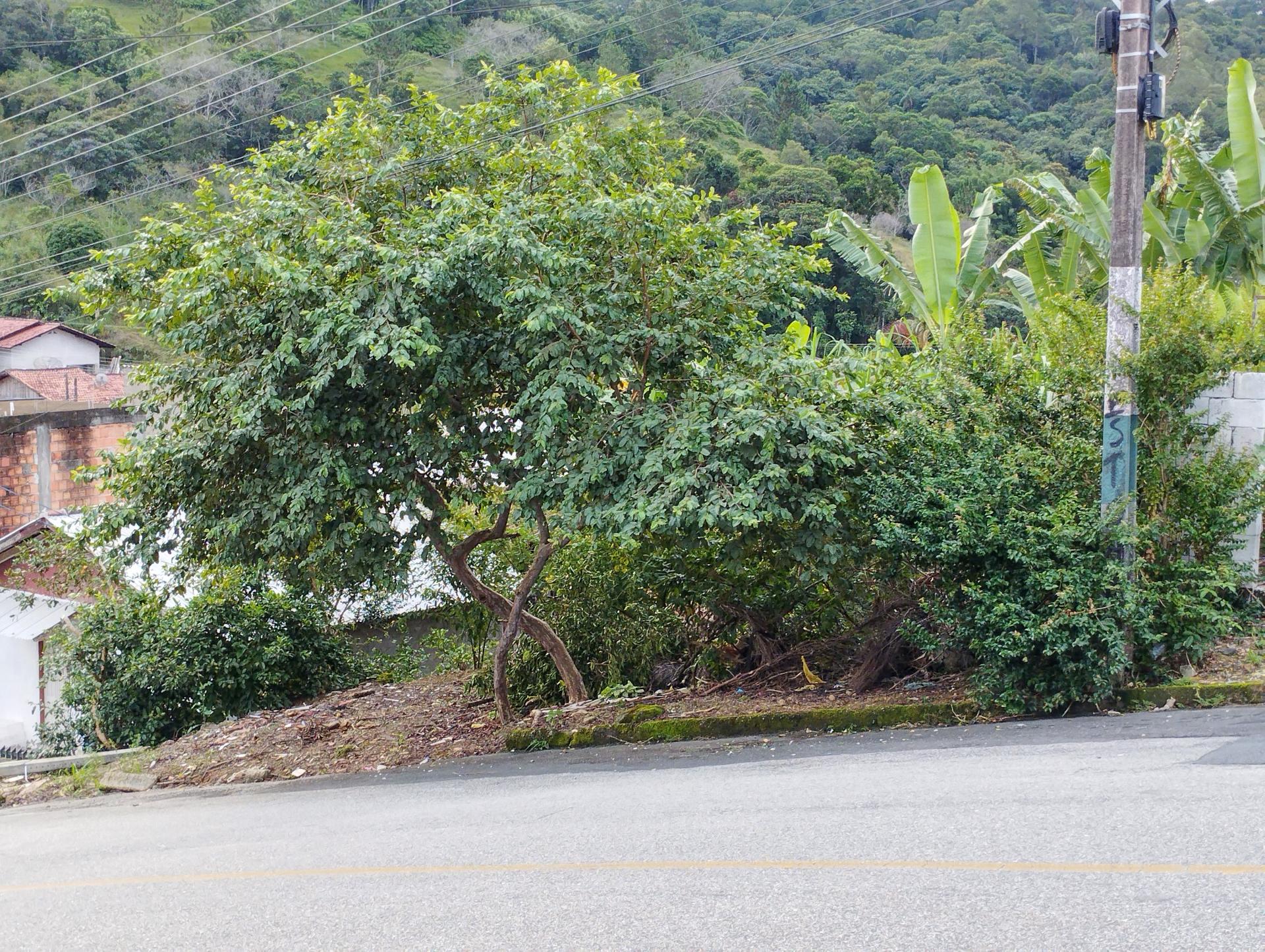 Terreno à Venda em Limeira Baixa - Brusque - Santa Catarina