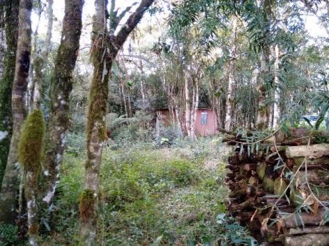 Chacara à Venda - Tijucas do Sul - Paraná