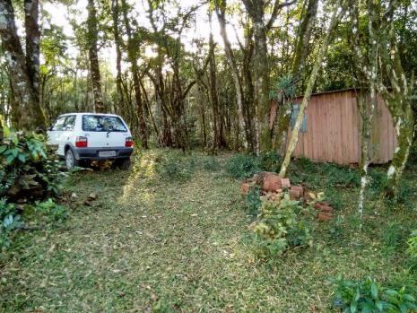 Chacara à Venda - Tijucas do Sul - Paraná