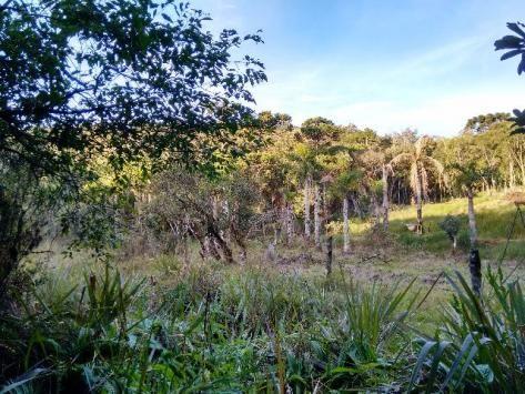 Chacara à Venda - Tijucas do Sul - Paraná