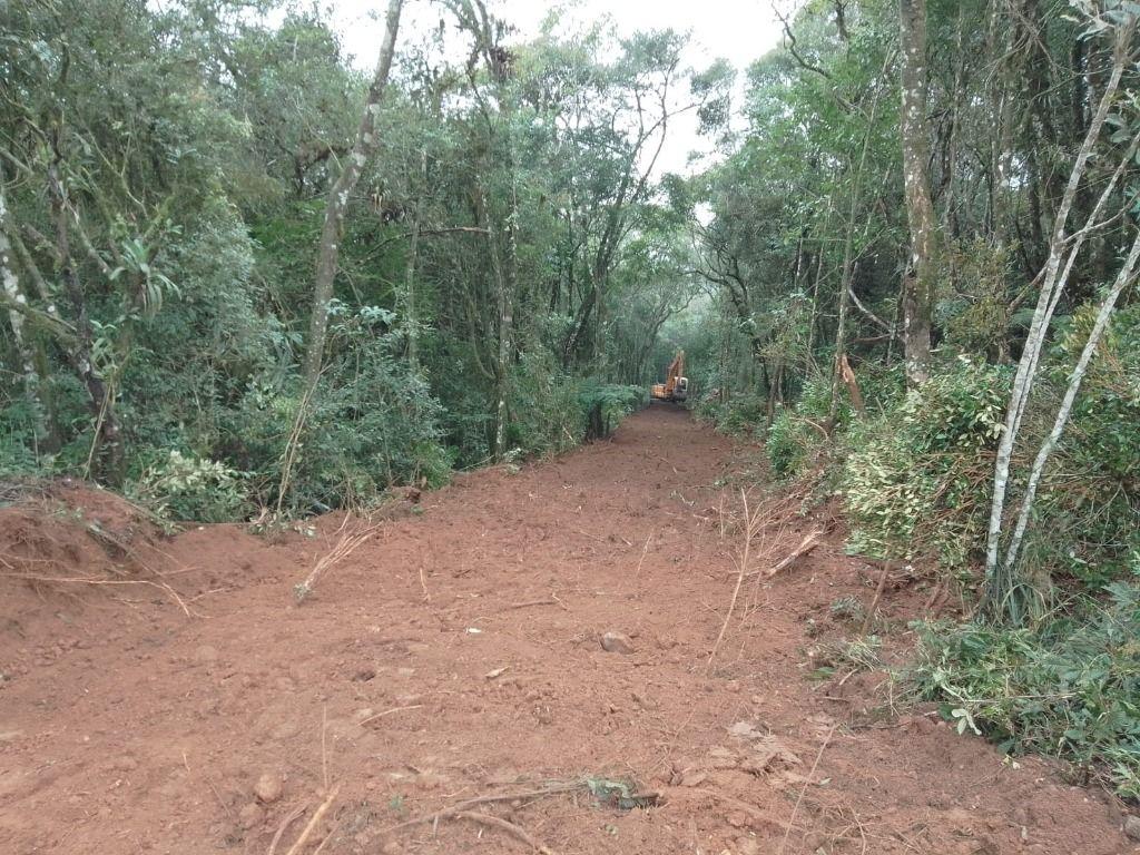 Chacara à Venda - Tijucas do Sul - Paraná