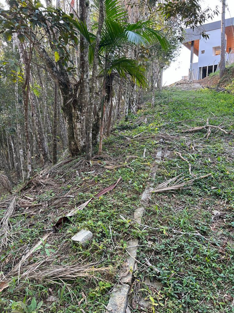 Terreno à Venda em Azambuja - Brusque - Santa Catarina - TERRENO A VENDA NO AZAMBUJA EM BRUSQUE