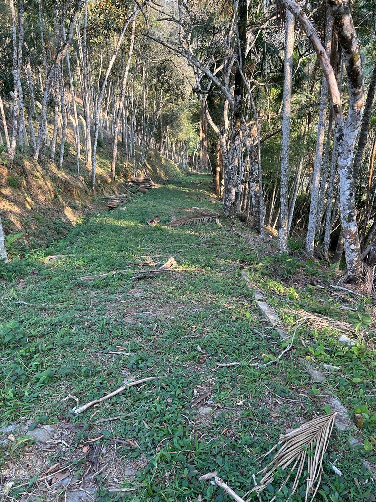 Terreno à Venda em Azambuja - Brusque - Santa Catarina - TERRENO A VENDA NO AZAMBUJA EM BRUSQUE