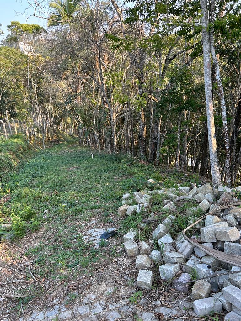 Terreno à Venda em Azambuja - Brusque - Santa Catarina - TERRENO A VENDA NO AZAMBUJA EM BRUSQUE