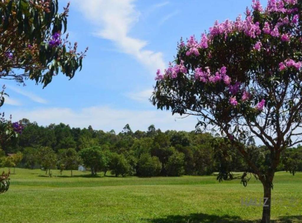 Terreno em Condomínio à Venda em Ingleses do Rio Vermelho - Florianópolis - Santa Catarina - Terreno a venda no Costão Golf