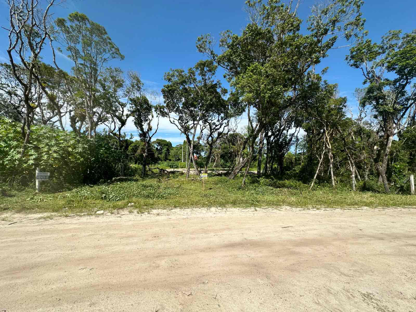 Terreno à Venda em Canto Grande - Bombinhas - Santa Catarina - TERRENO A VENDA EM BOMBINHAS