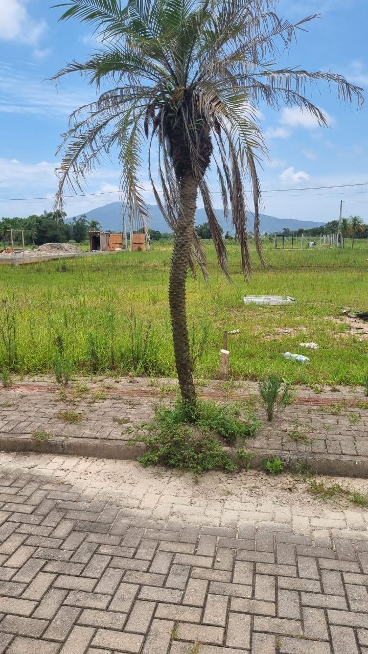 Terreno à Venda em Sertão do Trombudo - Itapema - Santa Catarina - TERRENO A VENDA EM ITAPEMA